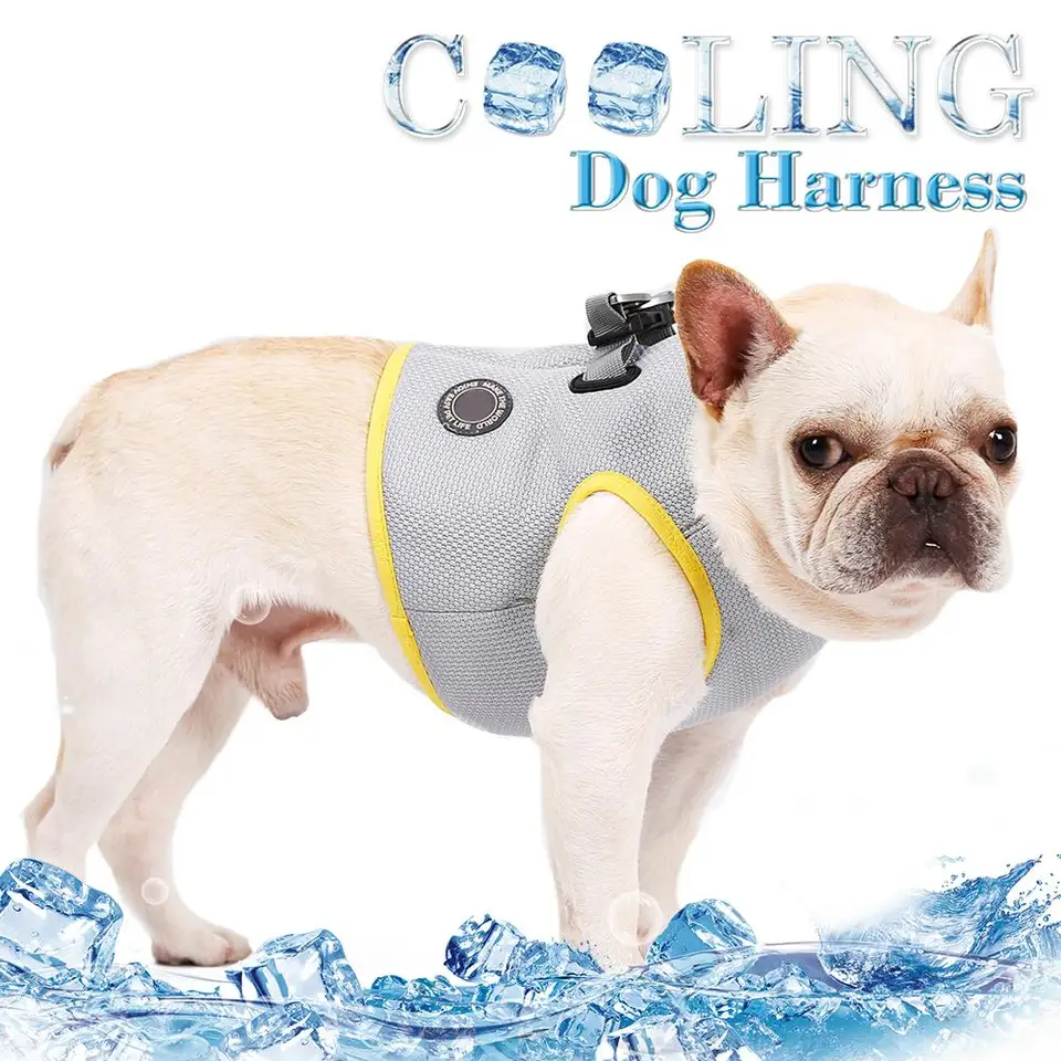 dog cooler