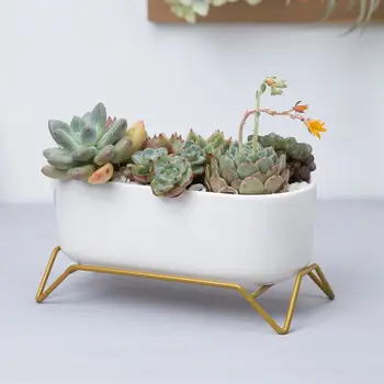 

2020 Flower Pot Creative Oval Meaty Flowerpot Ceramic Ironwork Four-Foot Base Frame Combination Suit Garden Accessories