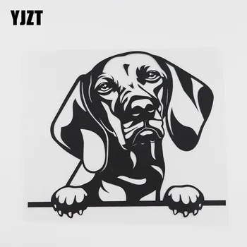 

YJZT 17.5CMX15CM Funny Vizsla Dog Peeking Decal Vinyl Car Sticker Black/Silver 8A-0094