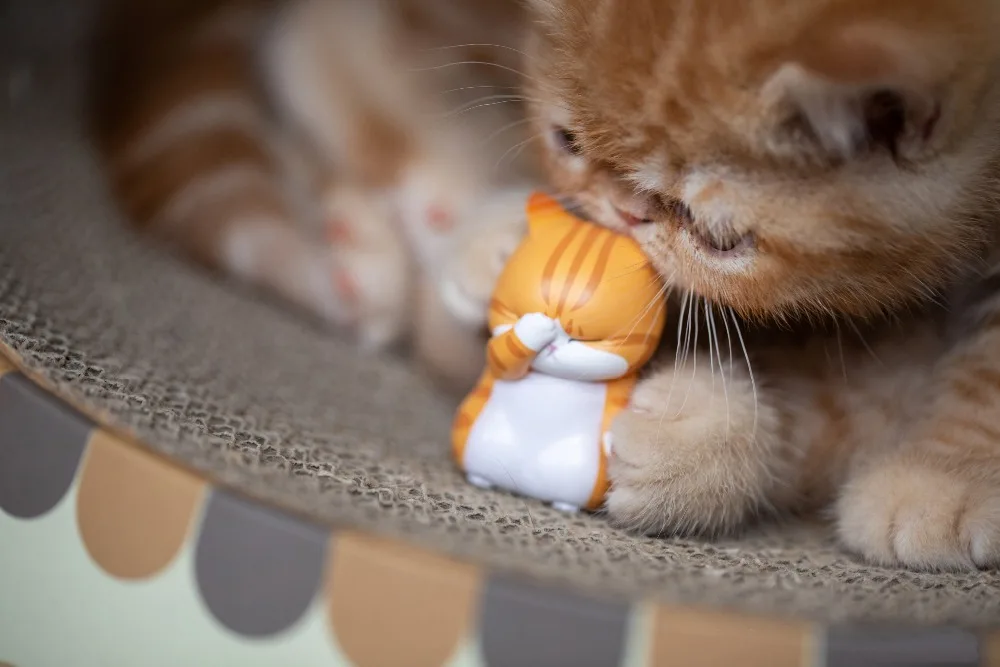 O1CN012pOskG1uTuNnvYZl4_!!3447966039