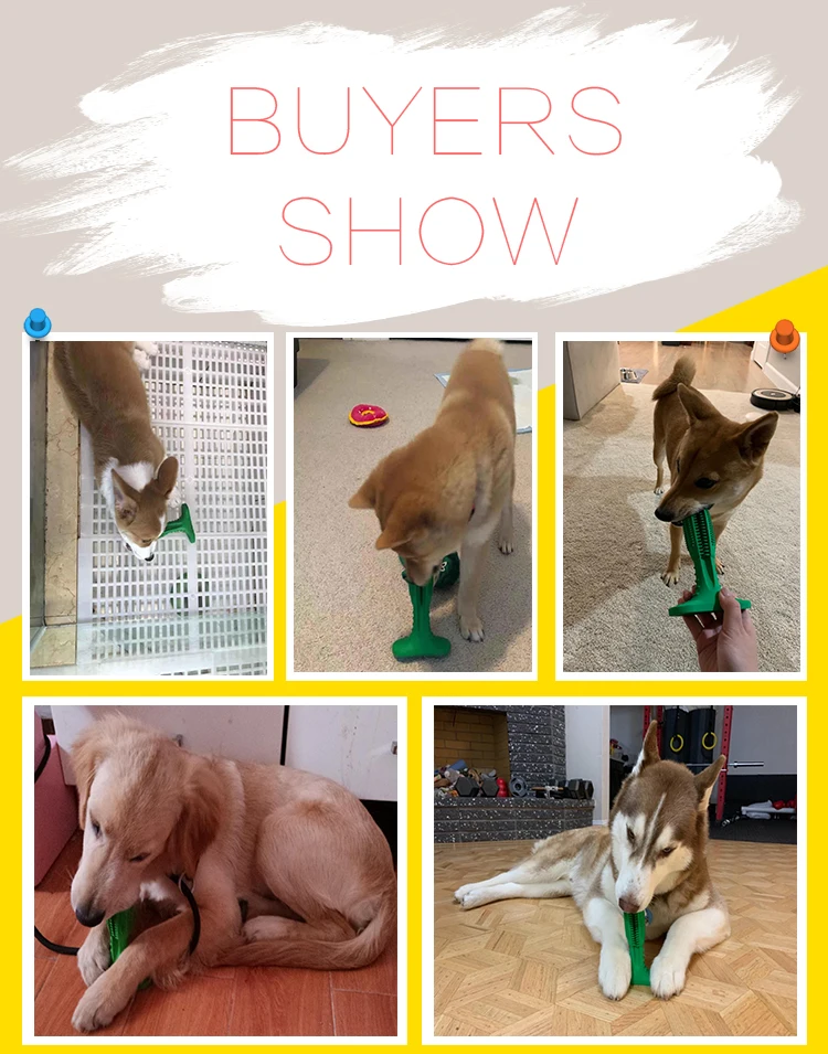 HTB1F.aJN3HqK1RjSZFPq6AwapXah