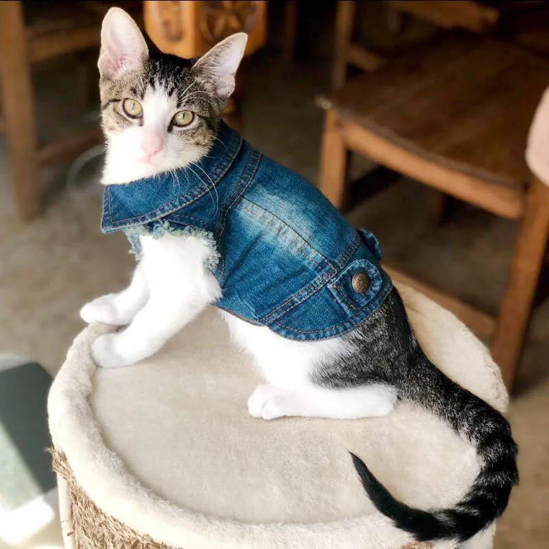 XS 2XL собака одежда джинсовая толстовка с изображением кота Сезон весна лето Жилет