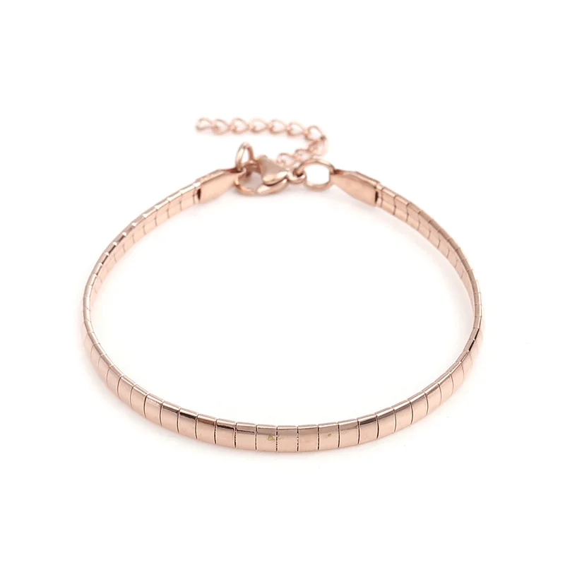 New 304 Stainless Steel Snake Chain Bracelets Rectangle Rose Gold Silver Color For Women Men Jewelry Gifts 18.5cm long, 1 PC - Image 5