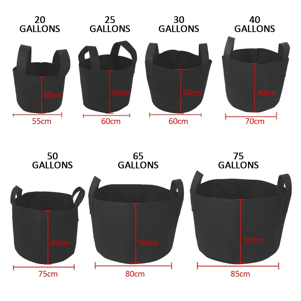 464976_8dda62f1ffc947e98373178a35186fc7