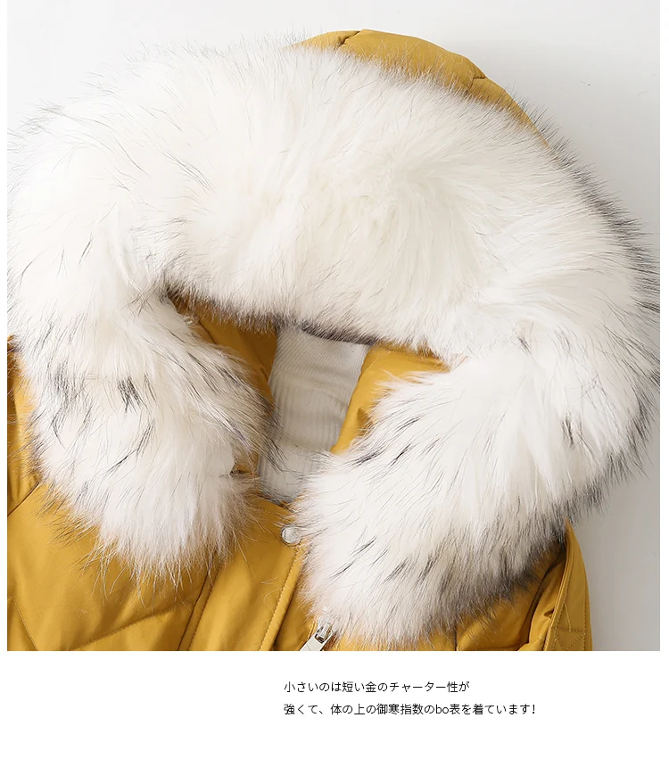 O1CN01NdT6xV1vsTFsJgLFz_!!2583236228