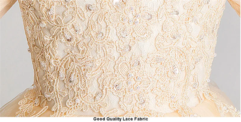 Baby Kids Elegant Lace Birthday Evening Party Princess Mesh Dress 3~13Years Children Infant Luxury Host Tutu Pageants Dress Wear