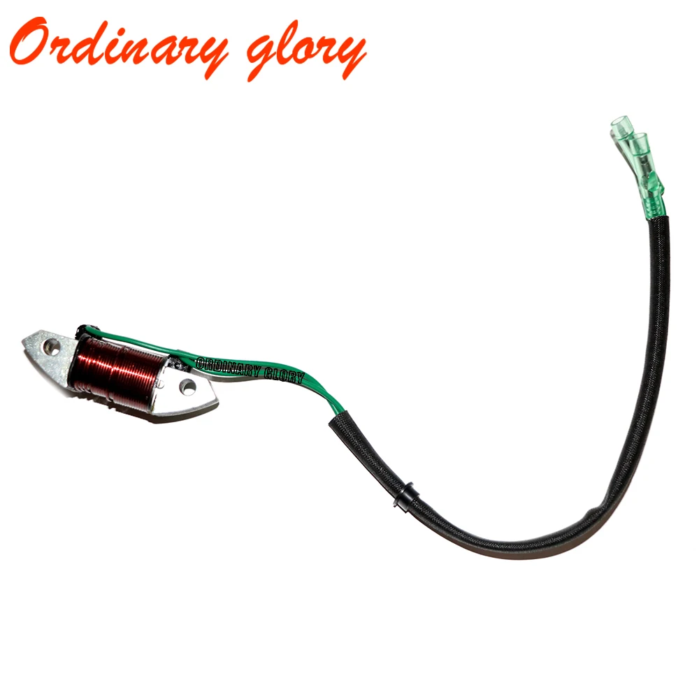 

Outboard Engine 61N-81313-09 Lighting Coil for YMH C 25HP 30HP 2 stroke Boat Motor E25B E30H