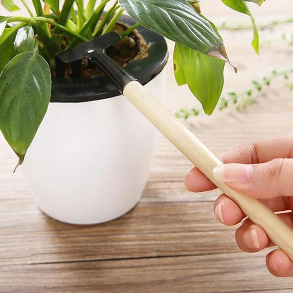 YY11293500-C-20190631-1