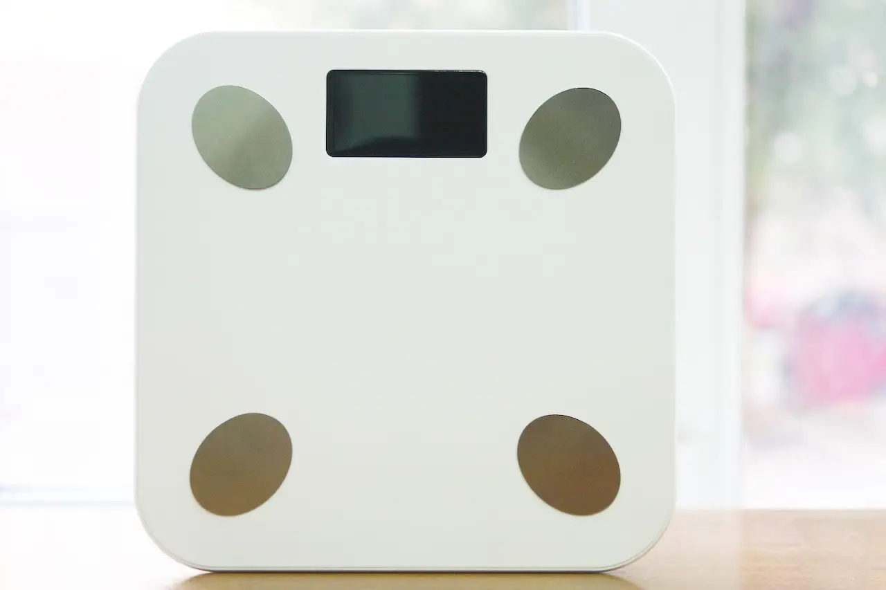 Body fat scale