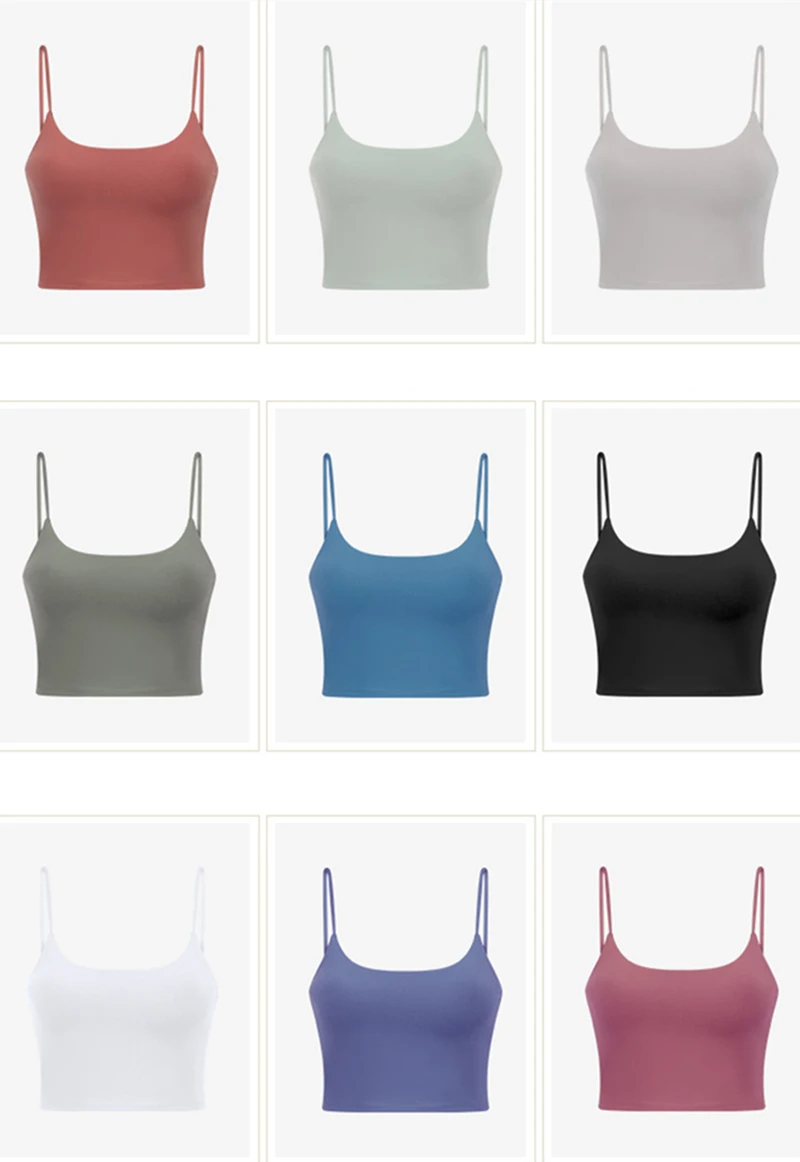 11651337692_1279734822