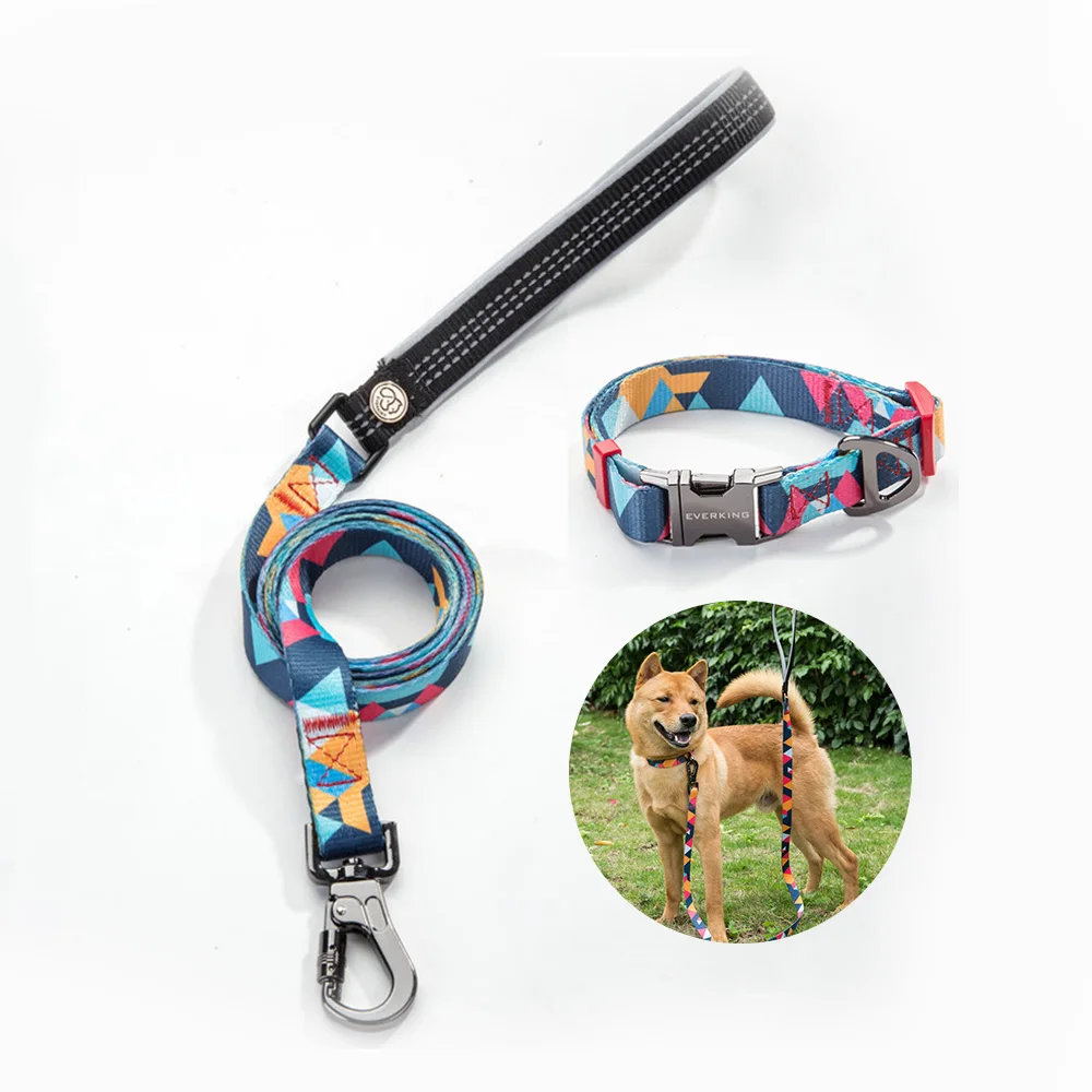 puppy dog collar and lead