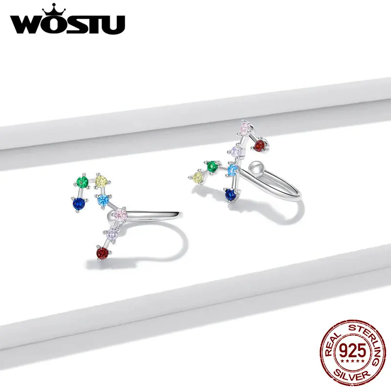 WOSTU Новое поступление серьги 925 стерлингового серебра красочные Стар трек