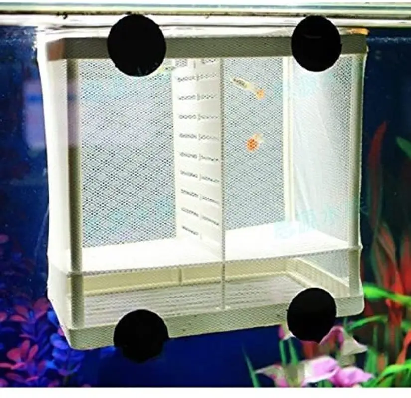 Aquarium Incubator Fish Breeding Breeder Box Baby Hatchery Isolation Net Hanging Tank Isolator Accessory Supplies | Дом и сад