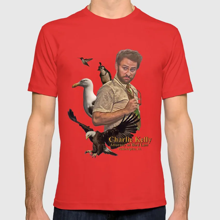 Charlie Kelly: attort at Bird Law-Always Sunny-Fan Art футболка always sunny bird law comedy wall art Цвет птиц