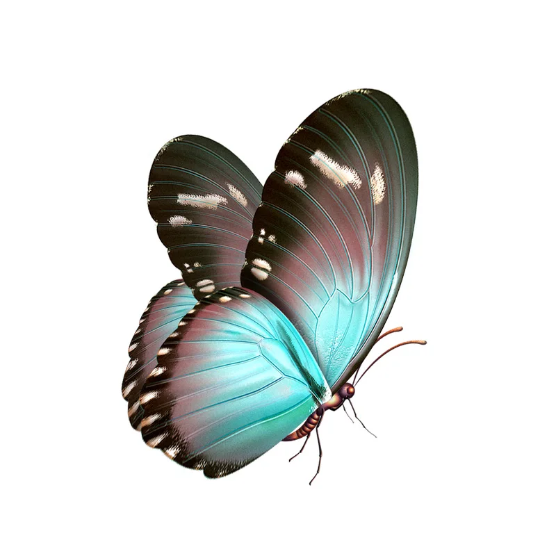 

Креативная красивая наклейка-бабочка ручной работы, ПВХ автомобильная мотоциклетная наклейка для автомобиля, водонепроницаемые наклейки ...