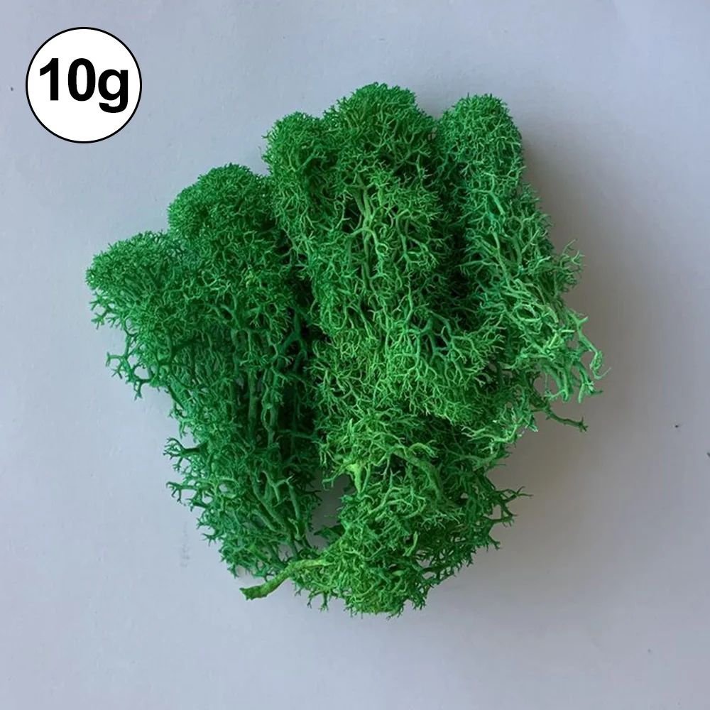 Dark Green Консервированный олень мох декоративный бриофит трава для DIY микро пейзаж эко бутылки украшения мебели 10 г - Цвет: Dark Green