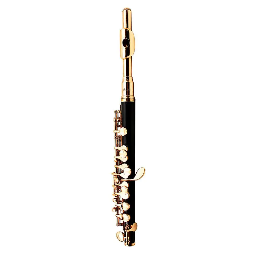Монтажная цепь Piccolo половинного размера флейта из мельхиора посеребренный C Ключ тон с полированной тканью палочка чехол отвертка