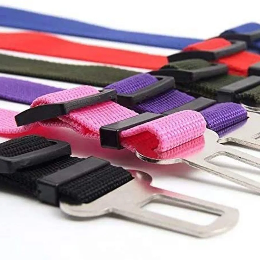 CP239501-C-20102108-1