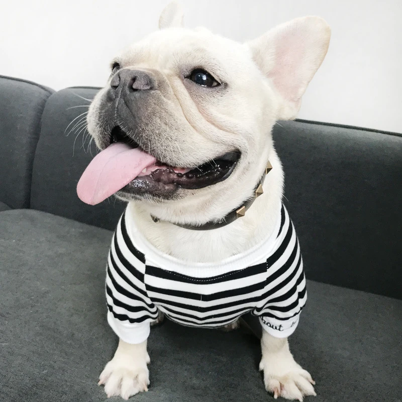 Зимняя одежда для собак, полосатый цветной жилет для щенков, футболка, мягкий плюшевый костюм для чихуахуа, одежда для собак, Прямая поставка