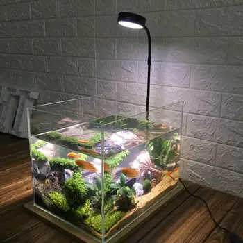 

Anti Insect Aquarium LED Light Miniature Landscape Full Spectrum Heat Insulation Succulent Fish Tank Waterproof With Wood Board