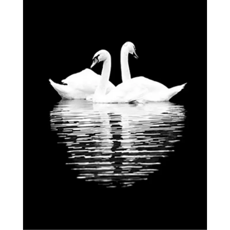 

Animal Reflection White Swan Frame Painting by Numbers DIY Full Set Acrylic Paint Unique Gift Oil Painting By Numbers Home Decor