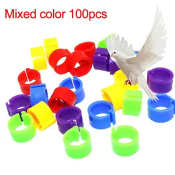 

100Pcs Plastic Birds Poultry Duck Pigeons Dove Parrot Leg Foot Bands Clip Rings