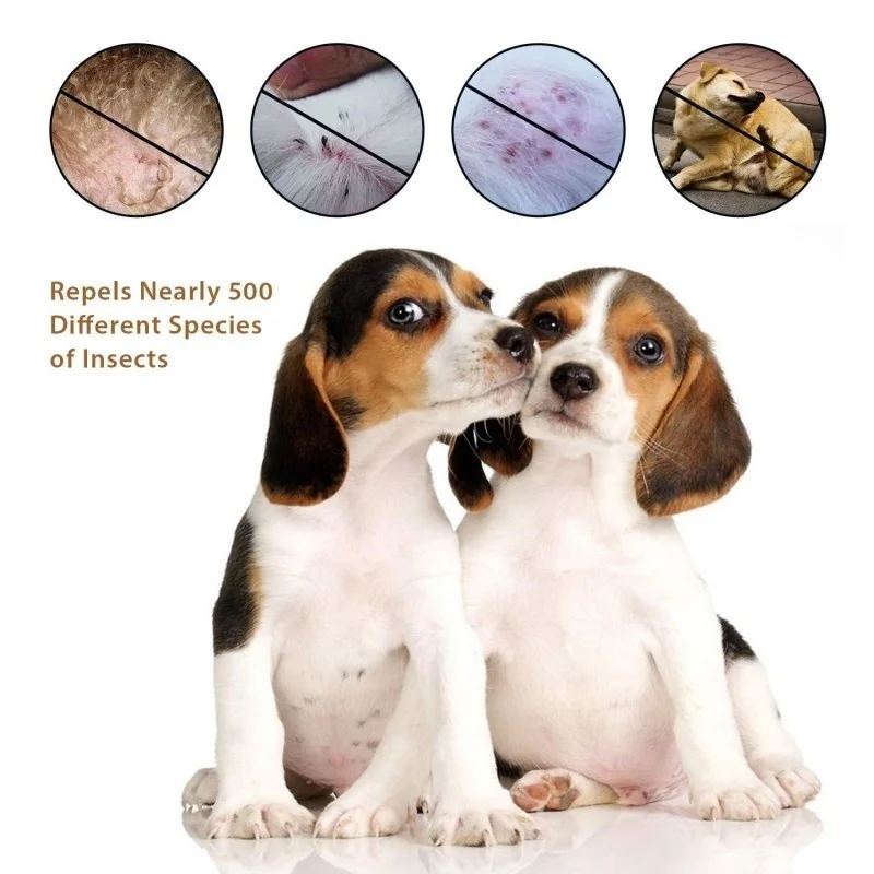 5b45a33192380660ed739637-4-original