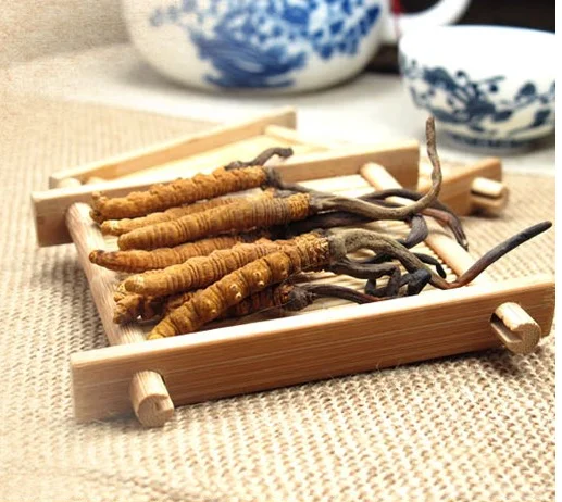 Ферментированный порошок кордицепс Кордицепс мицелий 200/500 штук| |