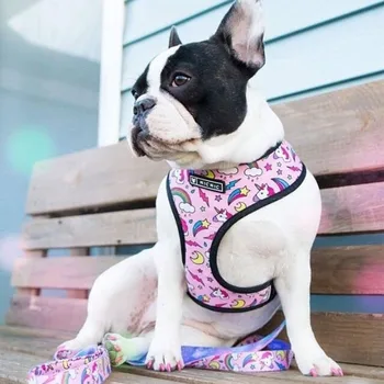 

French Bulldog Harness Leash Printed Frenchie Reversible Harness Puppy Small Dogs Mesh Vest Leash Set for Pug Walking Training