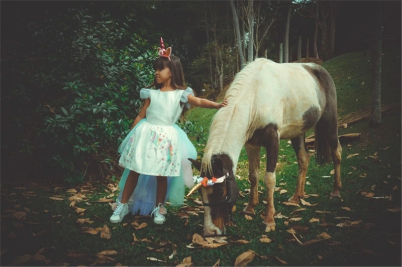 Рождественское платье для девочек с единорогом, с длинным хвостом+ парик с крыльями, повязка для девочки, бальное платье принцессы на день рождения, детская одежда с лошадями