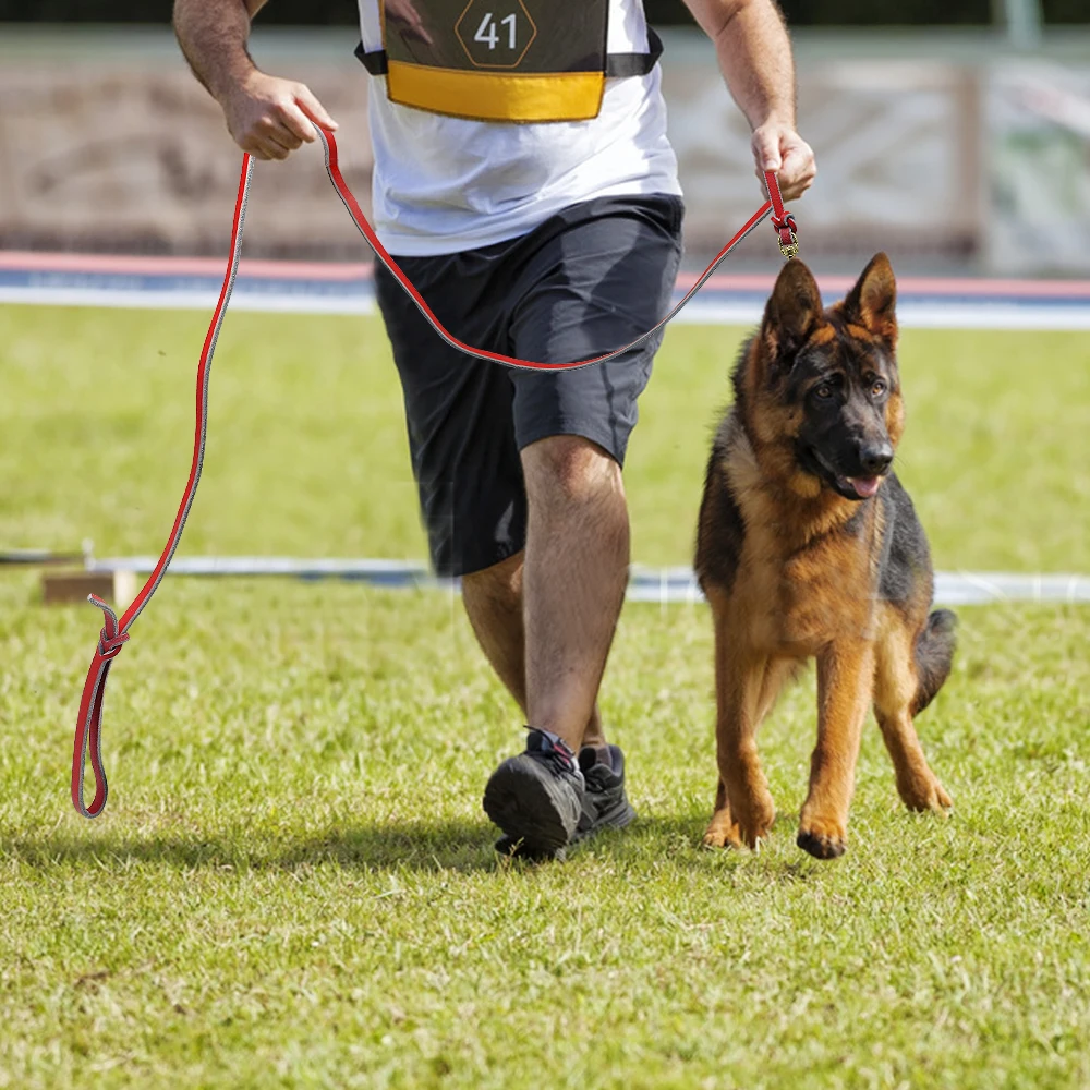 Leather leash for german shepherd Clearance