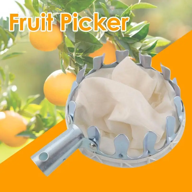 1pcs Fruit Picker Picker Head Metal Fruit Harvesting Tools Fruit Harvest Citrus Apple Peach Pear Hand Gardening Tools 1pcs Fruit Picker Picker Head Metal Fruit Harvesting Tools Fruit Harvest Citrus Apple Peach Pear Hand Gardening Tools