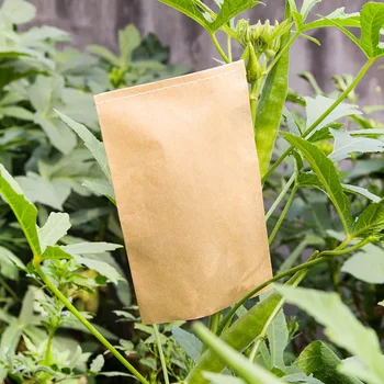 

100 Pieces Envelopes Kraft Paper Bags Mini Coin Packets Envelopes for Home and Garden Use 2 Size