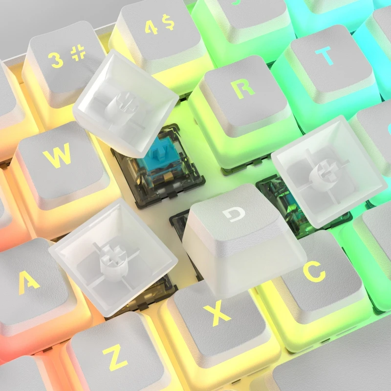 61 Keys Type-C RGB LED Double Skin Milk Wired Mechanical Keyboard Mini Gaming Keyboard Gateron Switchs for PC Mac