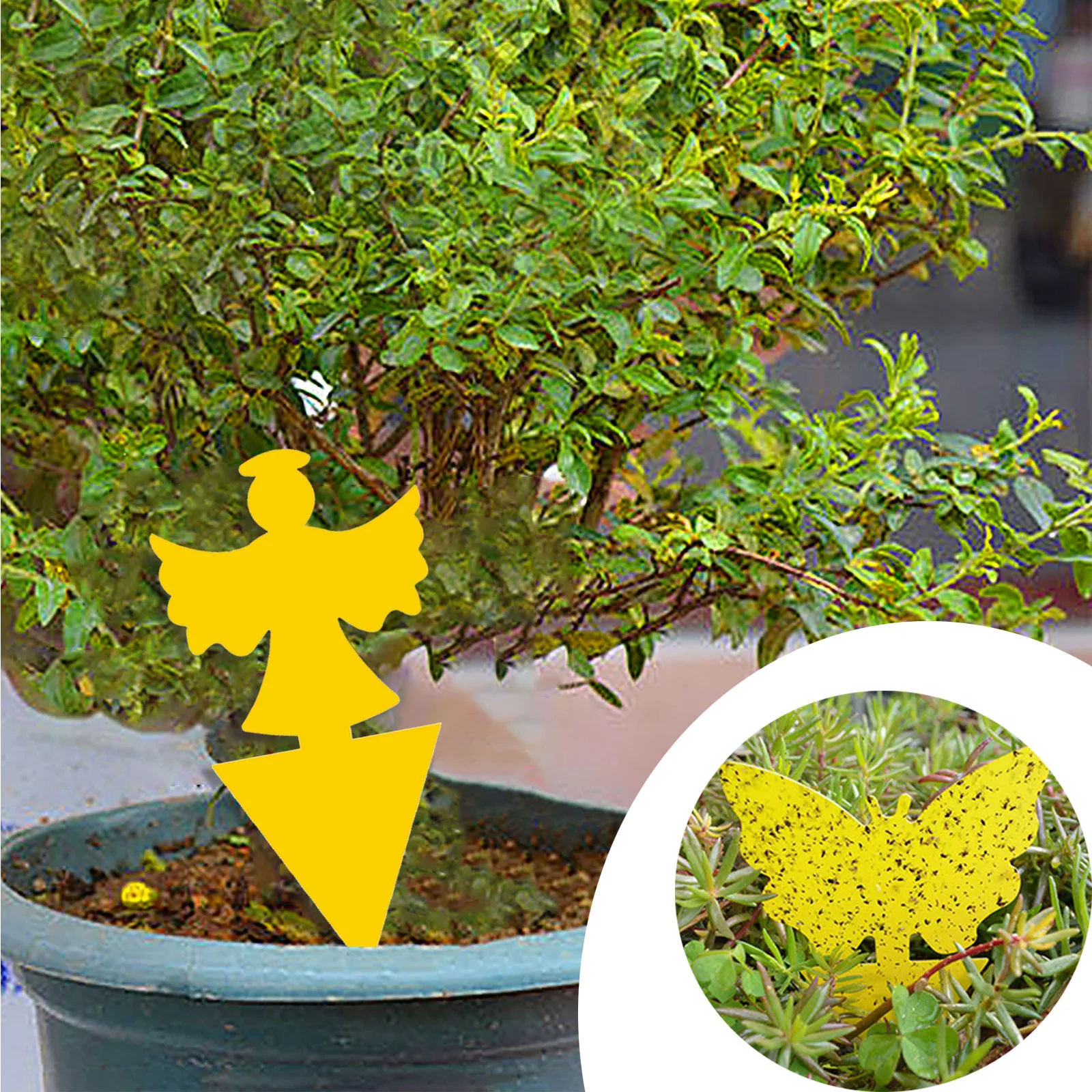 Trampa para insectos, tablero adhesivo de doble cara para plantas, flores y verduras, trampa para mosquitos, tablero adhesivo de insecto, herramienta de Control