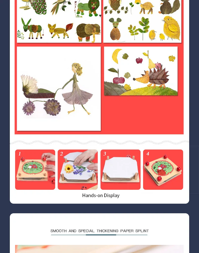 Mideer Wooden Plant Specimens Toy,Funny Wooden Art Outdoor Play Learning Educational Toys