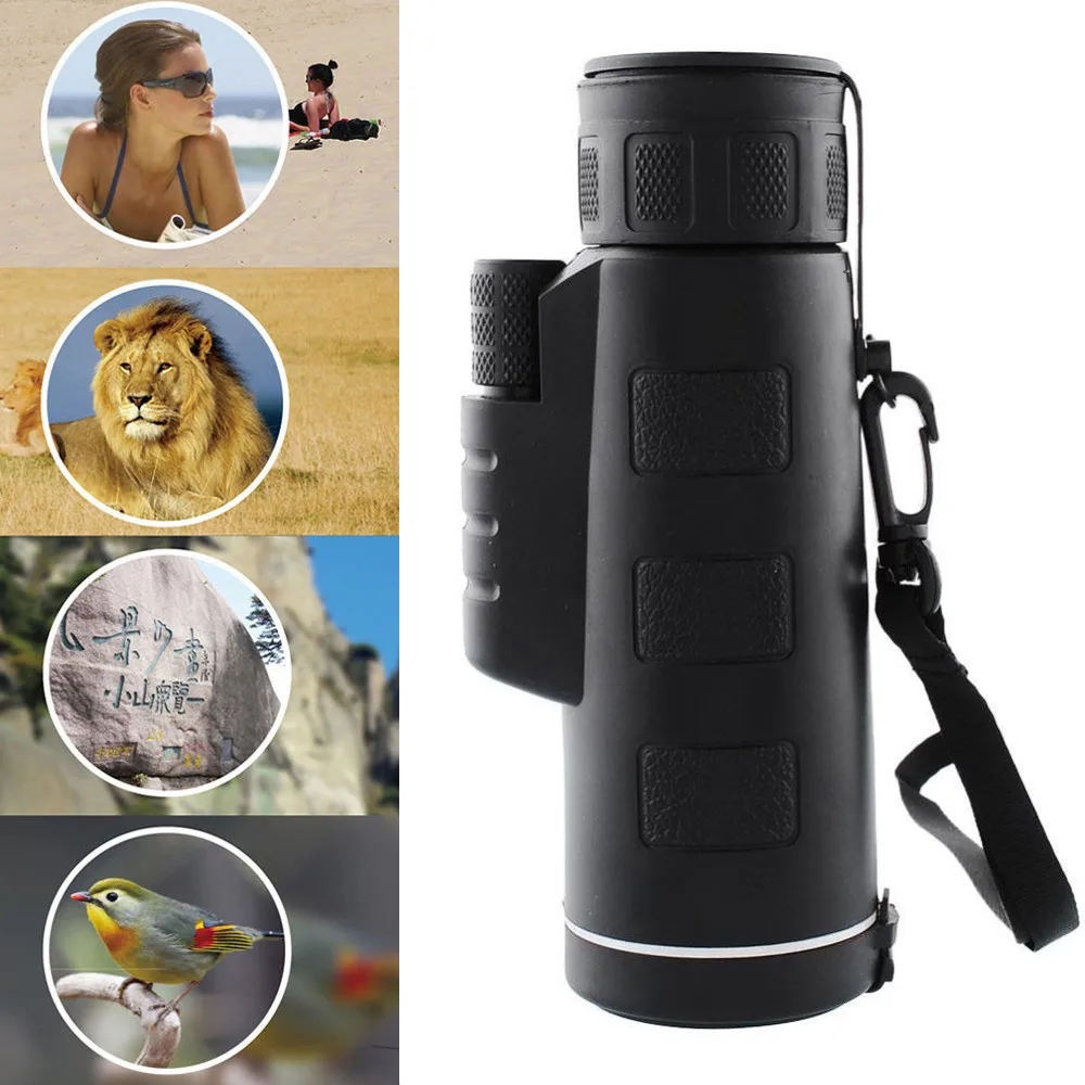 WSB80402633_0416513561613045970