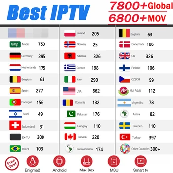 

Best Stable IPTV Spain M3U Francais IPTV Portugal Subscription 1 Year IPTV M3U Free V0D for Smart TV Android TV Box