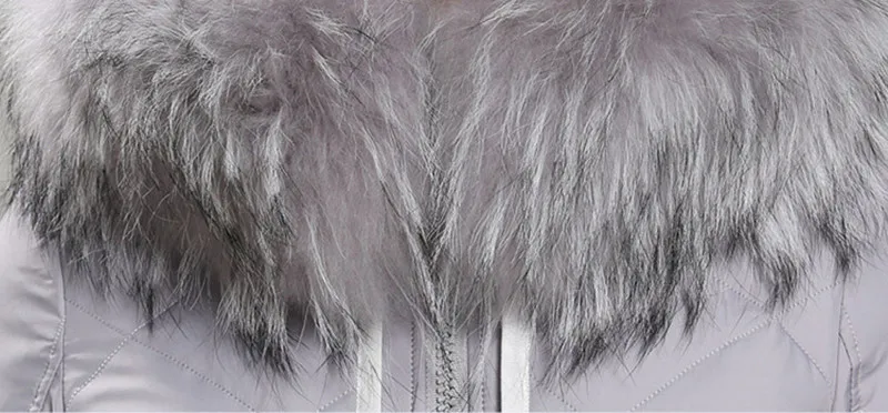 3605823093_1355003714 (1)