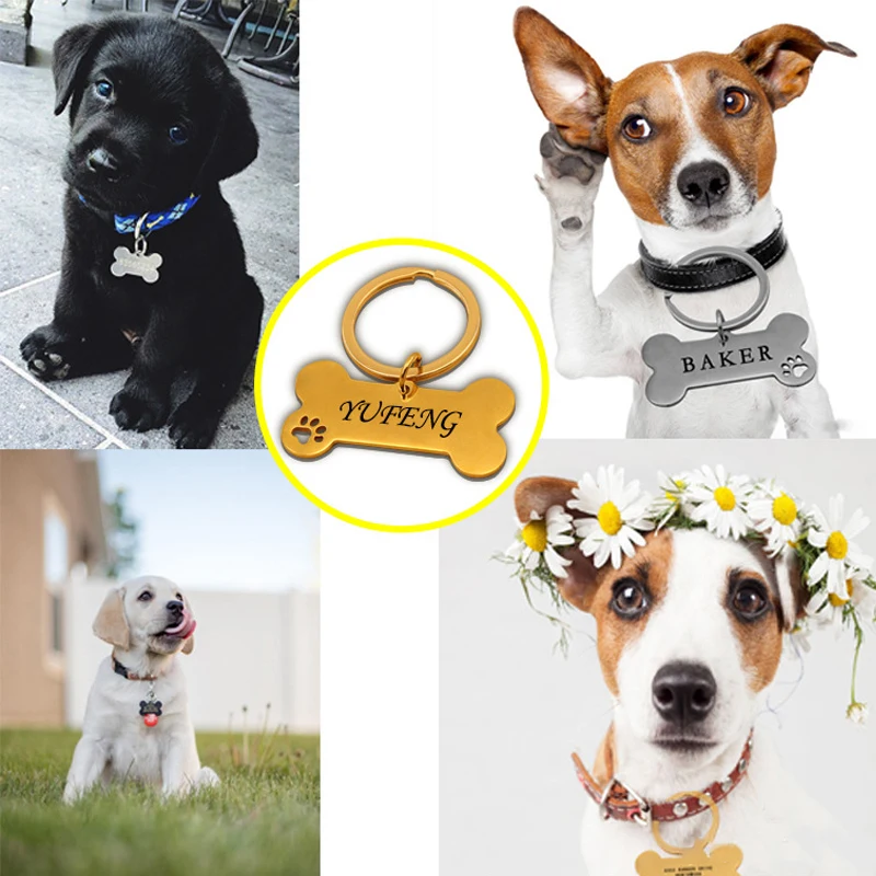 Anti-lost Personalized Pet Identity Tag Dog Collar Laser Engraved