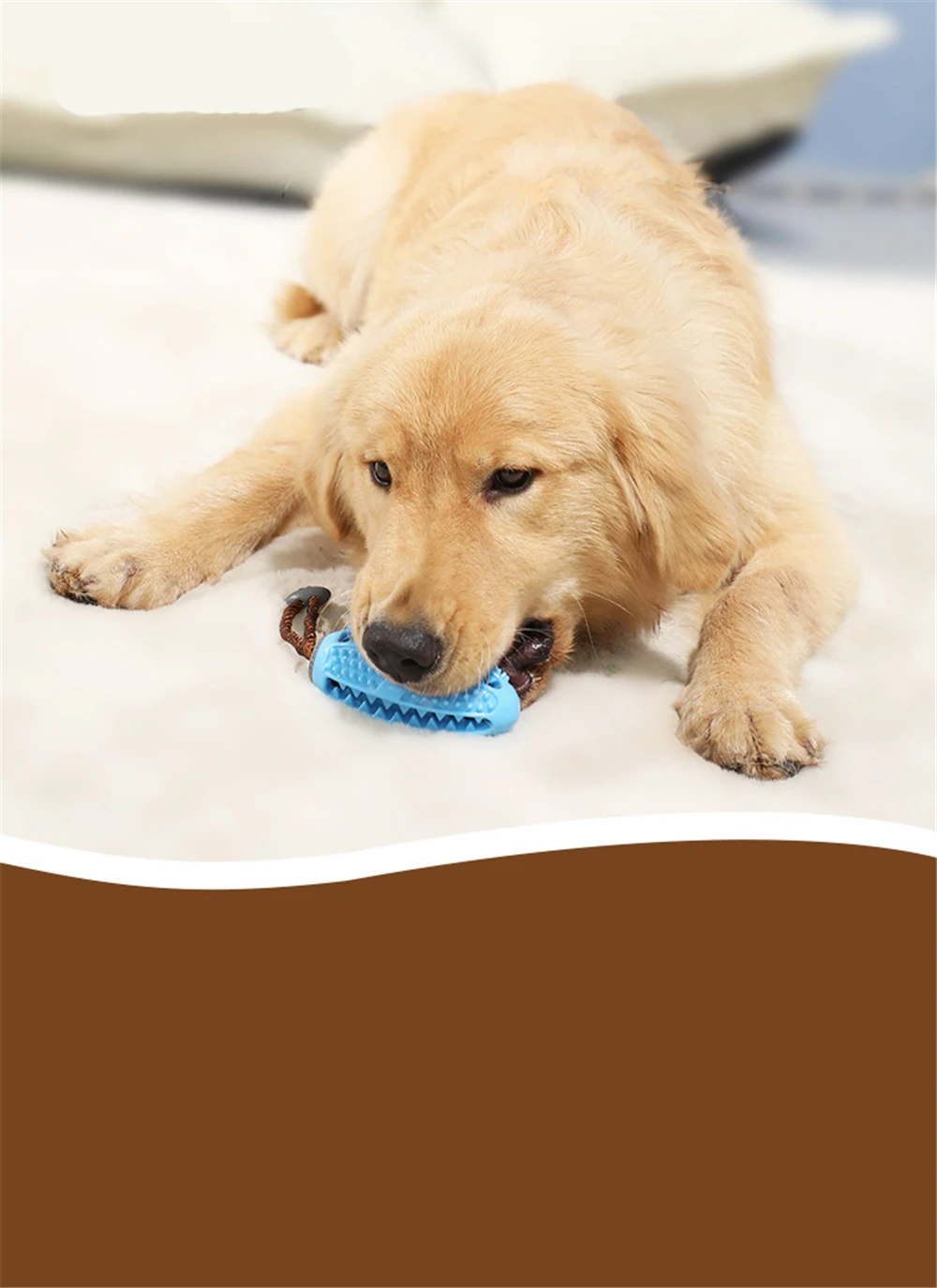 12079321590_1043690966