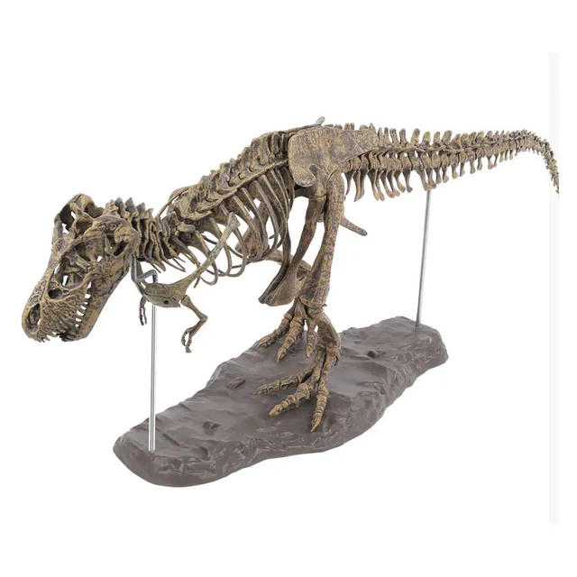 Simulation DIY 3D Dinosaur Model Skeleton Educational Dinosaurio Biology Biologia Interesting Toy For Children Gift Dinosaurios 3