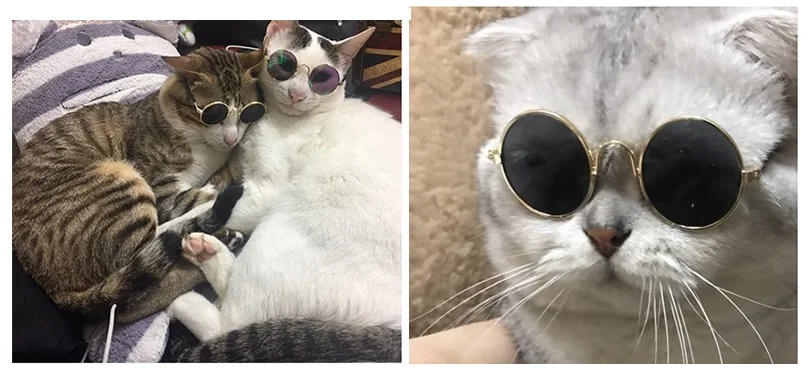 Прекрасные очки товары для домашних животных, кошек глаз носить солнцезащитные очки для маленьких собак щенков кошек фото реквизит