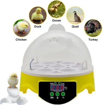 

Mini 7 Egg Incubator Automatic Incubator Poultry Incubator Brooder Digital Temperature Egg Hatchery Incubator Chicken Duck Bird