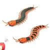 NEW Infrared RC Remote Control Simulation Centipede Creepy-Crawly Kids Toy Gift Orange&Black 3