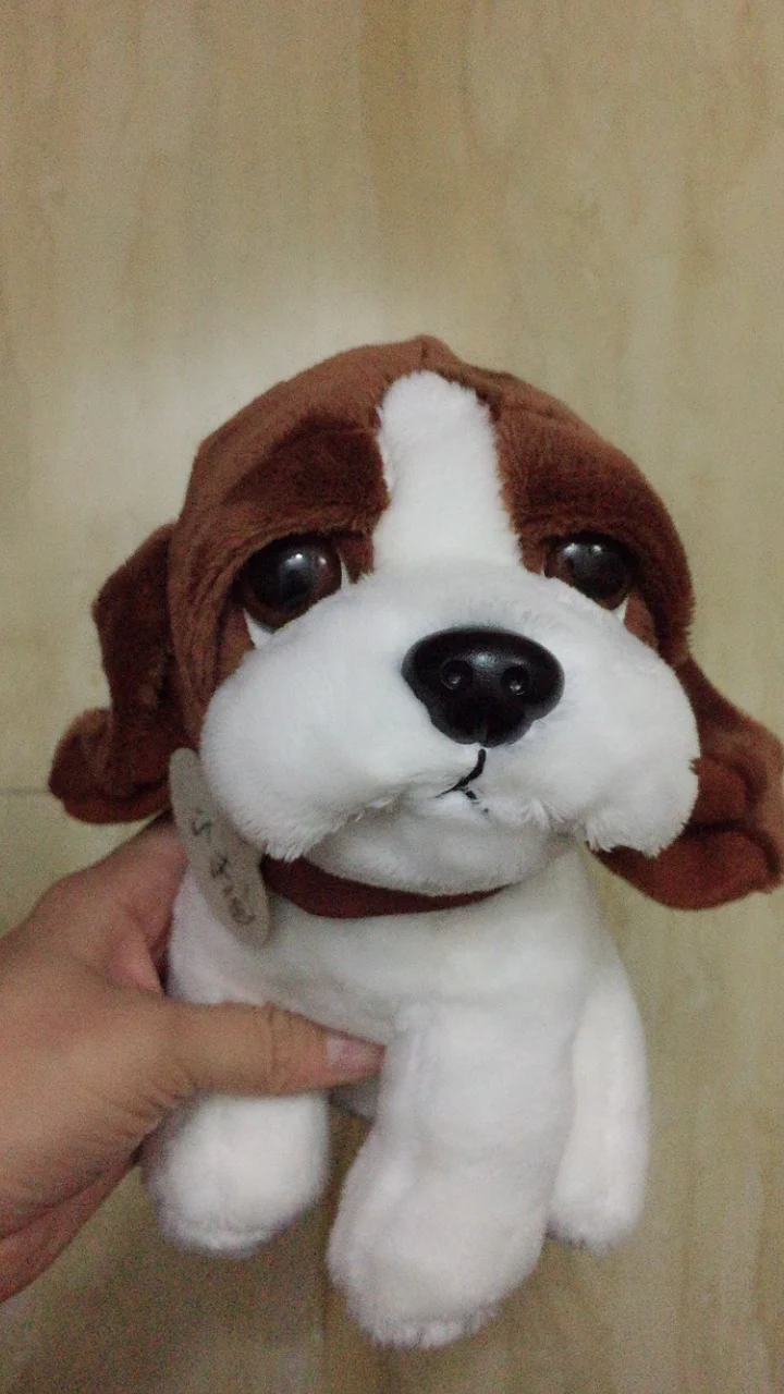 O1CN01BDwgvV1LdyZJFEhz1_!!0-rate