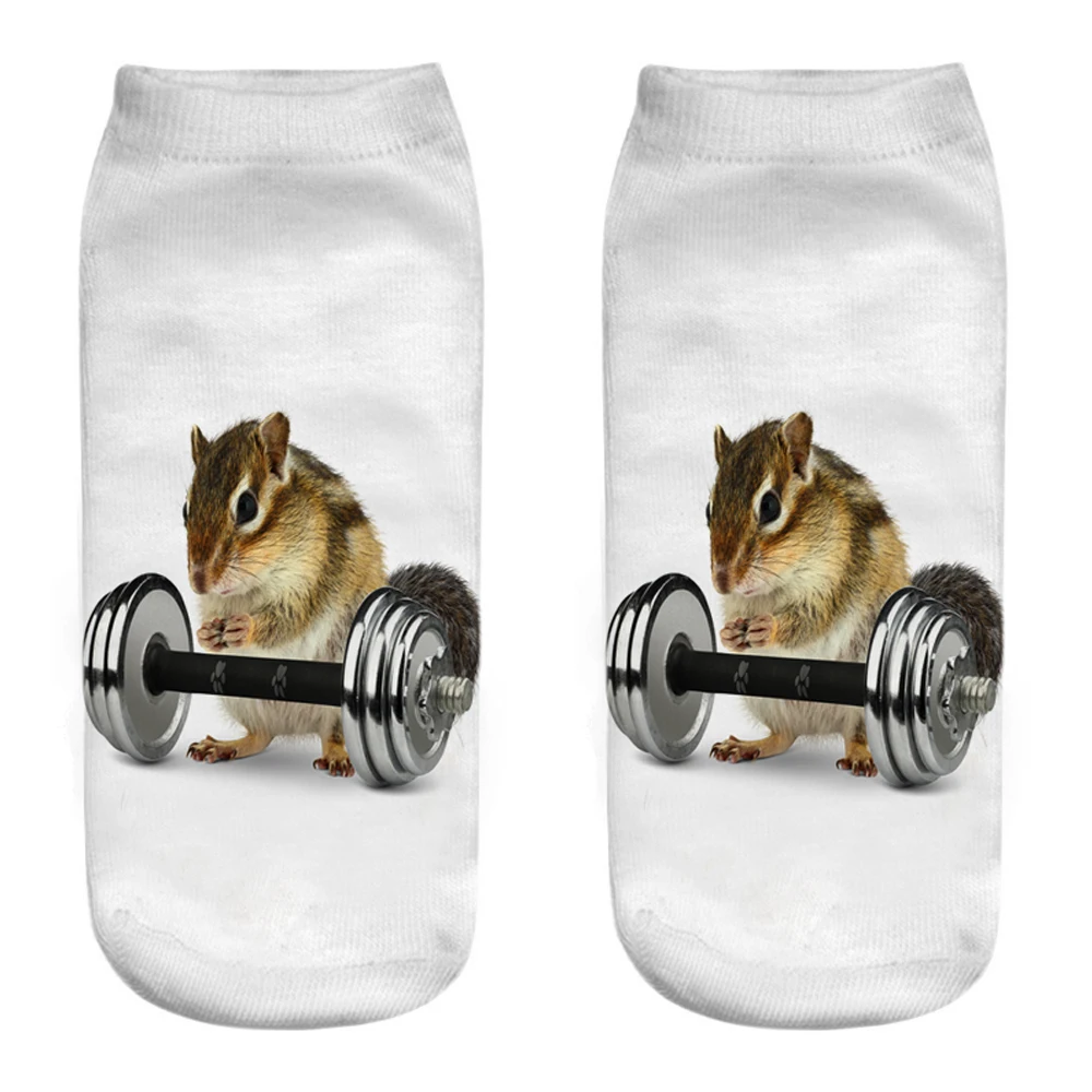Neue lustige sportliche Cartoon-Tier 3D-Druck Fitness-Socken Panda Eichhörnchen Hund Gewichtheben Yoga Gymnastik Skateboard Ballspiele – Detail 7