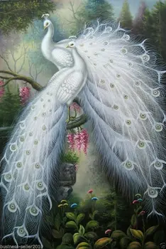 

art Oil painting :two male peacocks