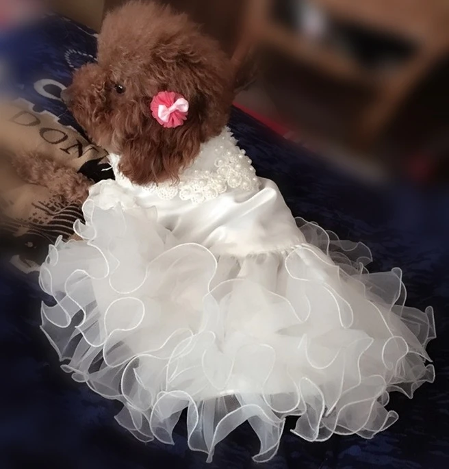 Vestito Da Principessa Per Cani E Gatti – Tutù Viola Con Fiocco, Abito Da Sposa Pet Per Eventi E Compleanni