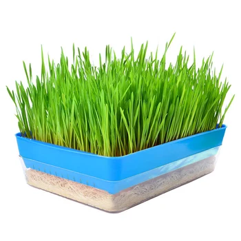 

Seedling Tray Bud Sprouts Nursery Pots Grass Implant Tray Double-layer Soilless Culture Dish Garden Supplies TB Sale